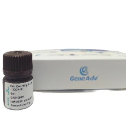 Cell Counting Kit-8(CCK-8)